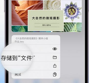 佛罗镇apple维修中心分享iPhone文件应用中存储和找到下载文件