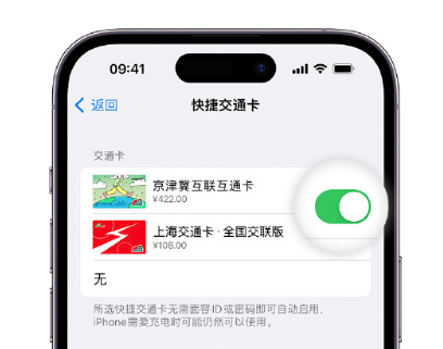 佛罗镇apple维修点分享iPhone上更换Apple Pay快捷交通卡手绘卡面 