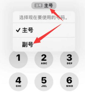 佛罗镇苹果14维修店分享iPhone 14 Pro Max使用副卡打电话的方法 