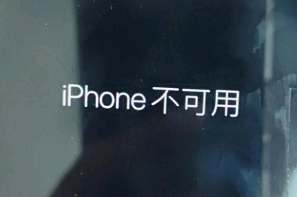 佛罗镇苹果服务网点分享锁屏界面显示“iPhone 不可用”如何解决 