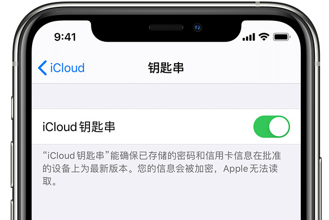 佛罗镇苹果手机维修分享在 iPhone 上开启 iCloud 钥匙串之后会储存哪些信息 