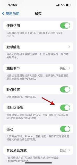 佛罗镇苹果手机维修分享iPhone手机如何设置摇一摇删除文字 