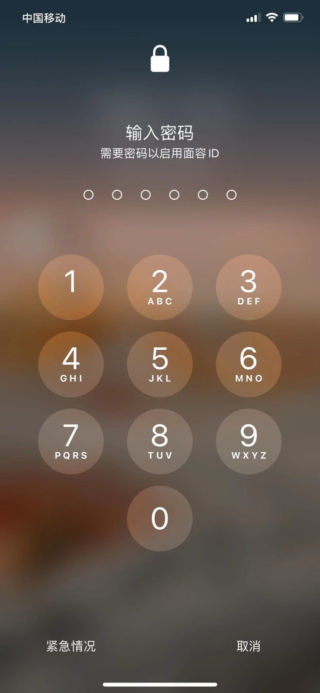 佛罗镇苹果13维修分享iPhone 13加强锁屏功能有什么用 