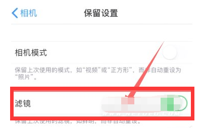 佛罗镇苹果13维修分享iPhone13拍照有绿点是怎么回事 
