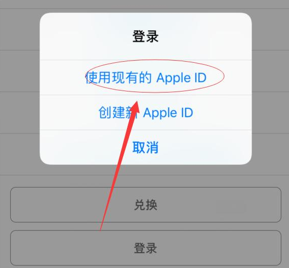 佛罗镇苹果手机维修分享两台iPhone设备可以同时登录一个Apple ID吗 
