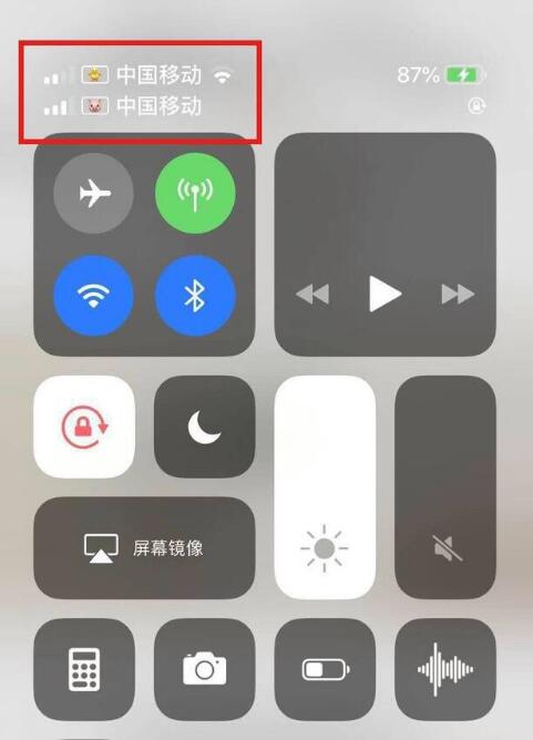 佛罗镇苹果手机维修分享为 iPhone 12 双卡设置标签 